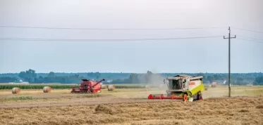 Skutki wojny na rynku żywności