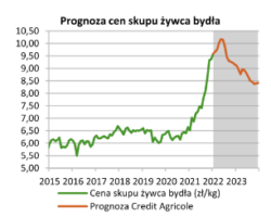 Aktualności rolnicze - Ceny skupu bydła 2022