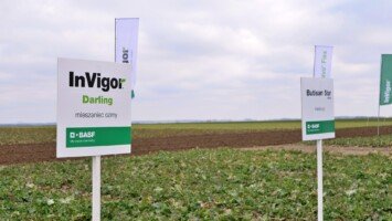 Aktualności rolnicze - Konferencja Polowa BASF