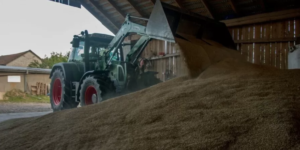 Ceny pszenżyta na krajowym rynku – dowiedz się więcej!