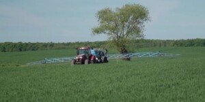 Jaki wybrać fungicyd na pszenicę ozimą? Poznaj opinię rolnika [Wideo]