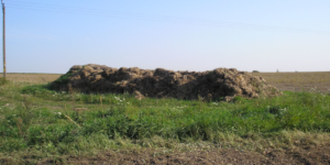 Nawozy naturalne – do kiedy i od kiedy można je stosować?