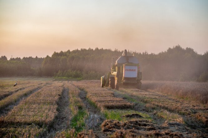 Aktualności rolnicze - Produkcja żywności w Polsce