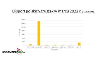 Eksport polskich gruszek - marzec 2022