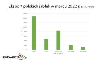 Eksport polskich jabłek w marcu 2022