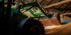 Ceny zbóż  – notowania na krajowym rynku. Sprawdź!