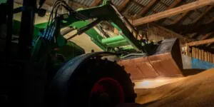 Ceny zbóż  – notowania na krajowym rynku. Sprawdź!