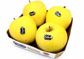 daleki wschód - Golden Delicious - Melinda