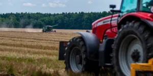 Ceny pszenicy i&nbsp;mąki w&nbsp;2022 r. Piekarze biją na alarm!