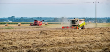 notowania cen zbóż 2022