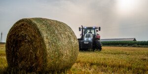 Ceny produktów rolnych w marcu 2022 w górę. Sprawdź!
