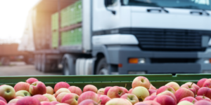 Ślad węglowy a jabłka ekologiczne – Coperfruit wprowadza zmiany