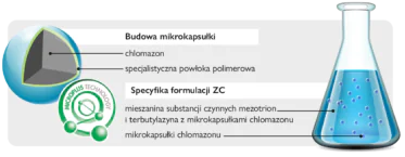 Kiedy postawić na herbicyd doglebowy w kukurydzy?