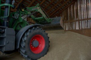 Ceny zbóż aktualne notowania