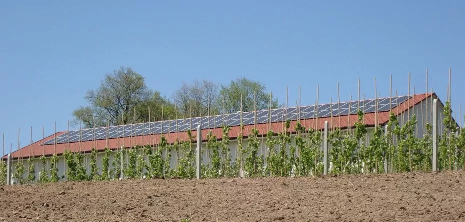 Mój prąd - fotowoltaika - przechowalnia owoców