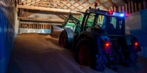 Aktualne notowania cen zbóż na krajowym rynku. Sprawdź!