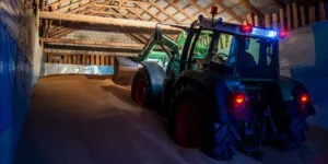 Aktualne notowania cen zbóż na krajowym rynku. Sprawdź!