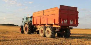 Aktualne ceny skupu zbóż – pszenica, pszenżyto i&nbsp;żyto