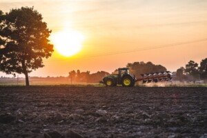 aktualne ceny zbóż w 2022