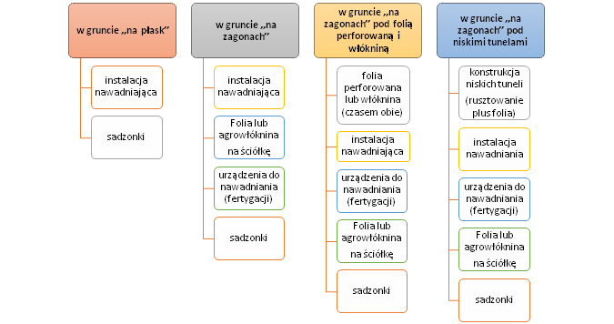 Koszt produkcji kilograma truskawki