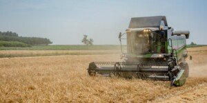 Prognozy na rynku zbóż. Czeka nas kryzys zbożowy? Sprawdź!