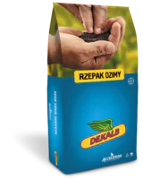 rzepak ozimy dekalb