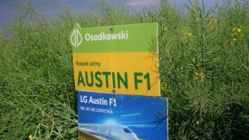 Agorfakt - Osadkowski Zielone Pola