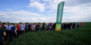 Osadkowski Zielone Pola – nowe odmiany i&nbsp;technologie ochrony