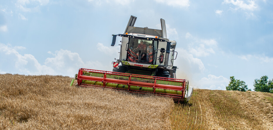 Zboże z Ukrainy powoduje zastój i problemy na rynku zbóż?
