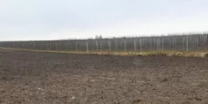 dofinansowanie na wapnowanie - jabłoń - zaorane przygotowanie pod sad