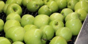 Interwencyjny skup jabłek — już prawie 44% limitu wykorzystane