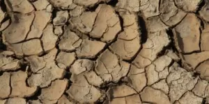 Struktura gleby. Jak wygląda i&nbsp;czym się charakteryzuje?