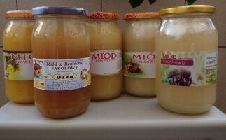 Miód - odmiany