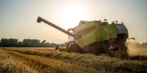 Ceny usług żniwnych 2022 mocno podrożały? Sprawdź!