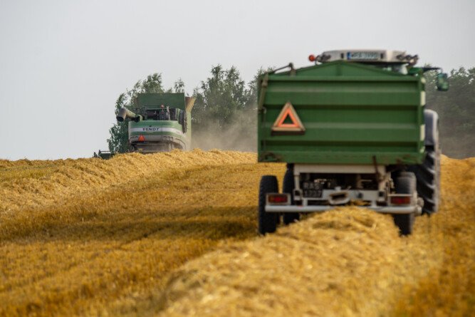 Aktualności rolnicze - Kiedy sprzedać zboże?