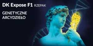 Nowość w&nbsp;ofercie firmy Osadkowski-Cebulski – rzepak ozimy DK Expose F1