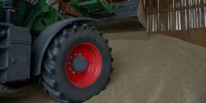 Ile kosztuje tona zboża? Sprawdzamy ceny!