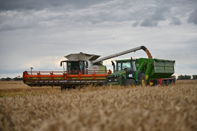 Agrofakt - Rekordowy plon pszenicy