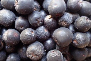 cena aronii - aronia - owoce