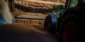 Ile kosztuje tona zboża – czy tendencja wzrostowa się utrzymuje? Sprawdź!