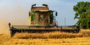 Ceny skupu produktów rolnych GUS wyższe o ponad 50%. Sprawdź!