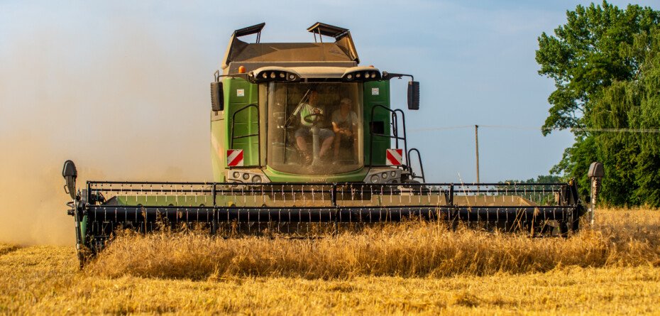 Polski rynek zbóż 2022