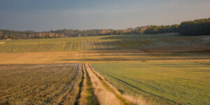 Ubezpieczenia upraw rolnych od 1 września 2022 r. Sprawdź!