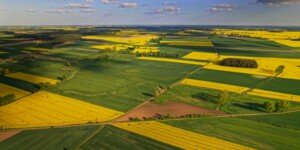 Europejski Zielony Ład szanse i&nbsp;zagrożenia