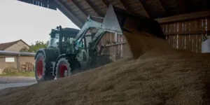 Jakie są aktualne ceny zbóż we wrześniu 2022?