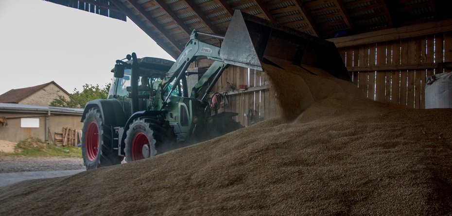Jakie są aktualne ceny zbóż we wrześniu 2022?