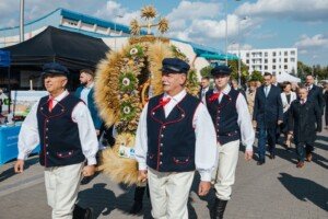 Rząd PiS pomaga rolnikom?