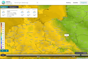 Wybarwianie jabłek - 8 września-nad ranem