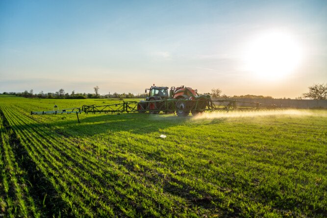 Bakterie wiążące azot z powietrza – rodzaje
