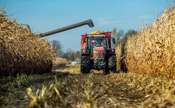 Aktualności rolnicze - Ceny kukurdzy 2022